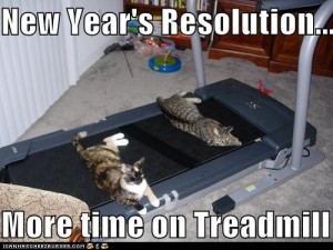 Cheezburger cats make new year's resolution to spend time on treadmill by laying on it.