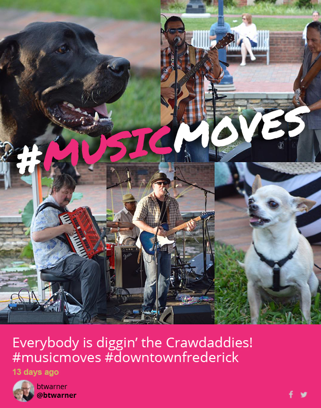 Musicmoves playful pups