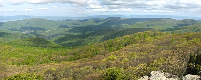 A view of the Shenandoah Valley from a nearby hiking trail